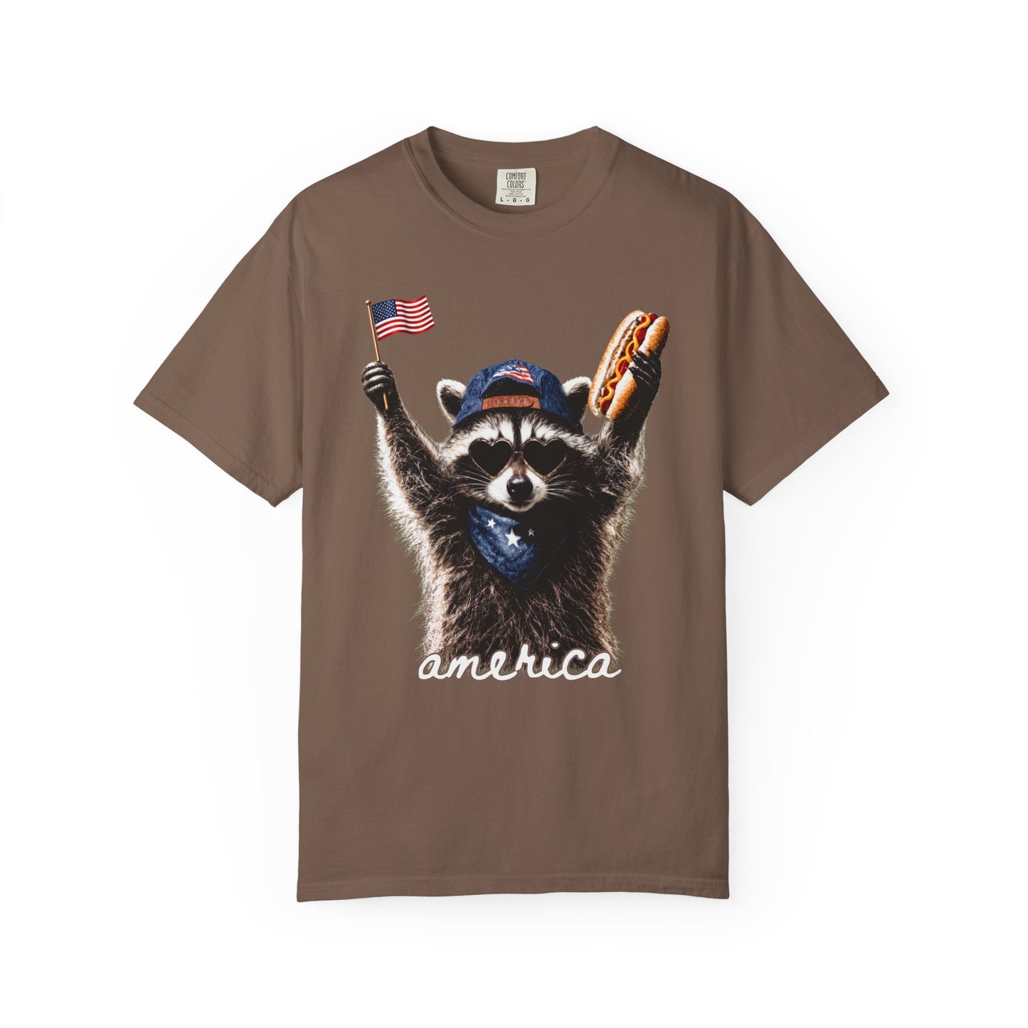 America Raccoon T-Shirt