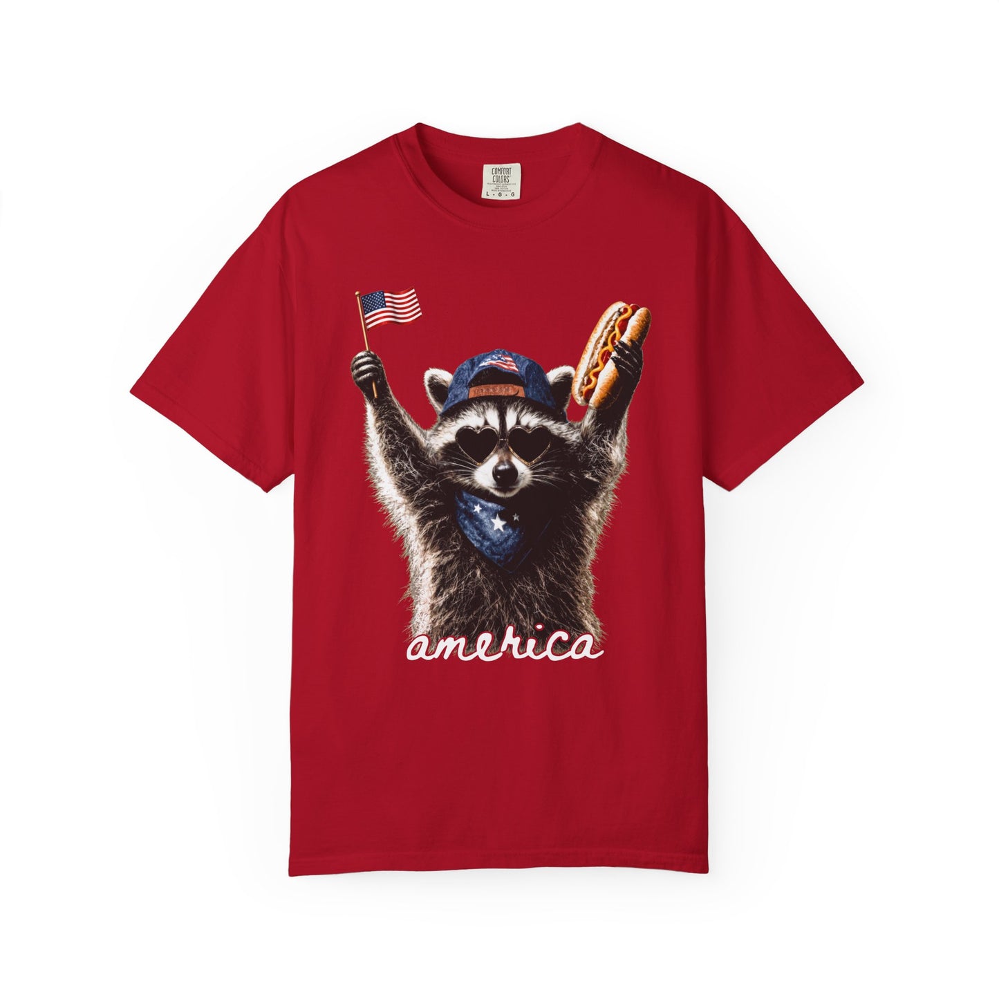 America Raccoon T-Shirt